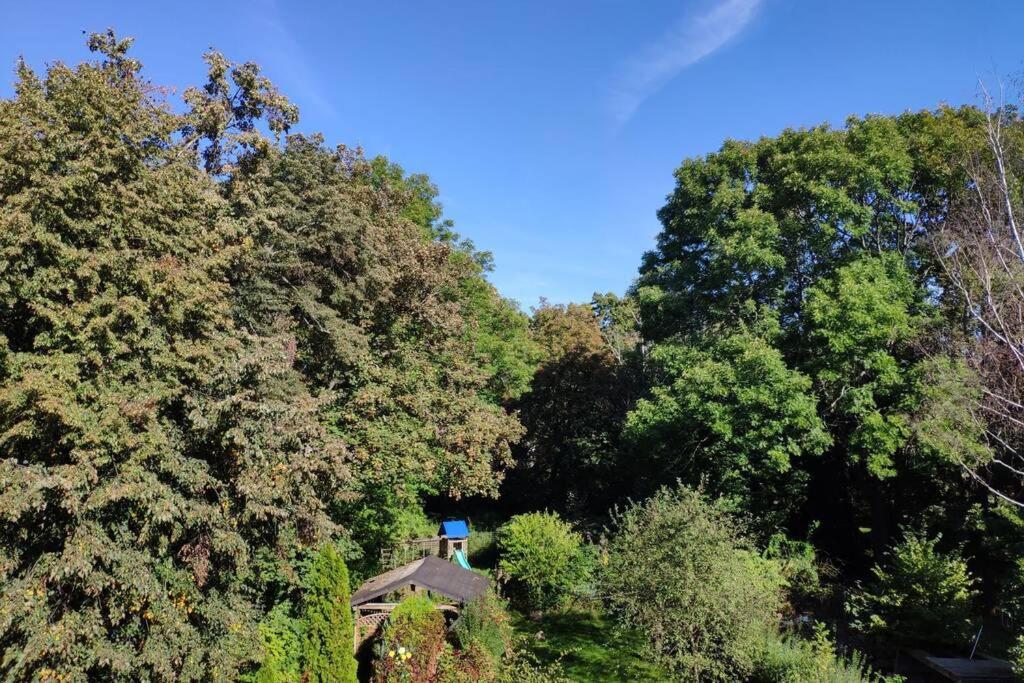 Ferienwohnung Mit 123Qm Fuer 8 Personen Mit Sehr Grossem Garten, Einfache Innen-Ausstattung Leipzig Dış mekan fotoğraf